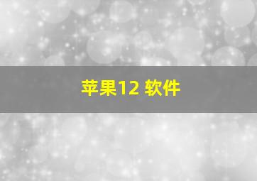 苹果12 软件